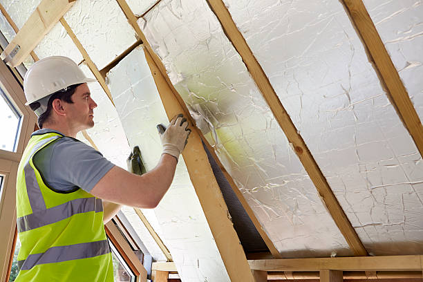 Best DIY Insulation Kits and Guidance in Williamsburg, PA