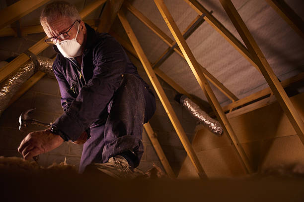 Best Eco-Friendly Insulation in Williamsburg, PA